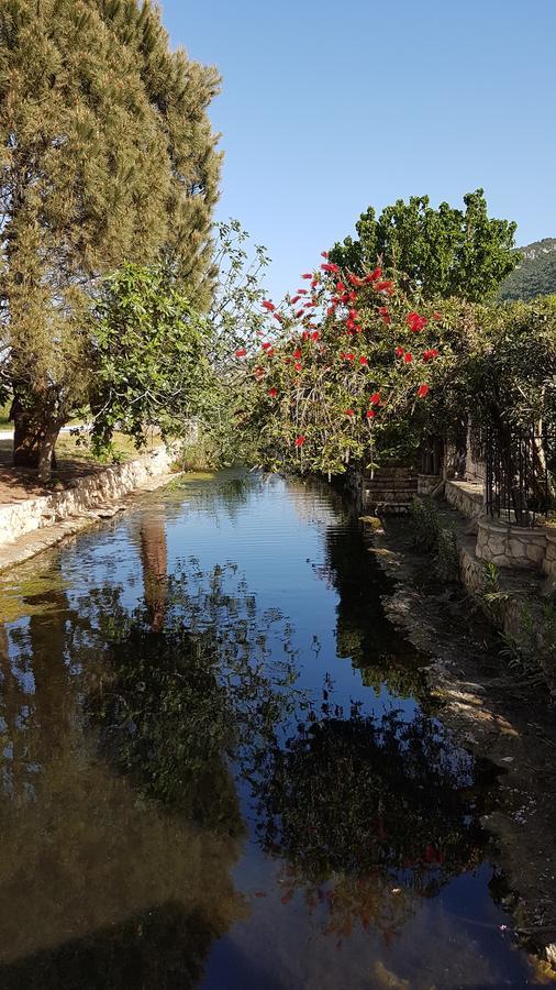Castello Bellos Villas&apartments Appartamento *